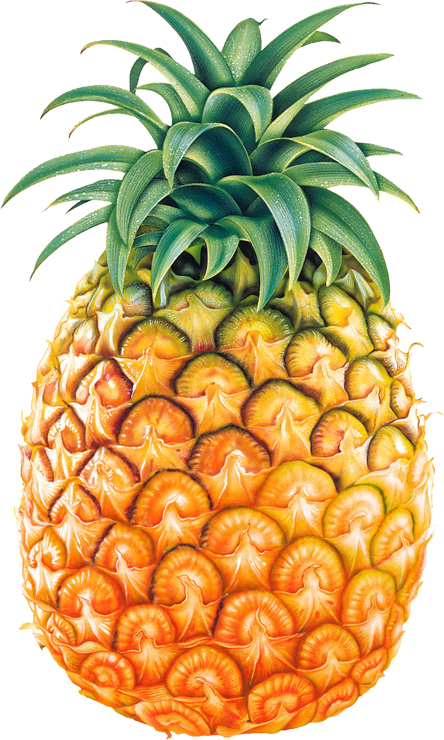 orange image